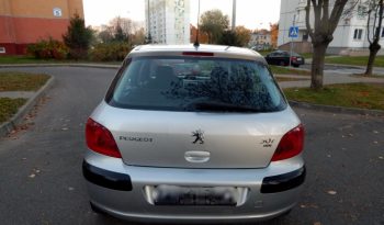 Peugeot 307 2004 полный