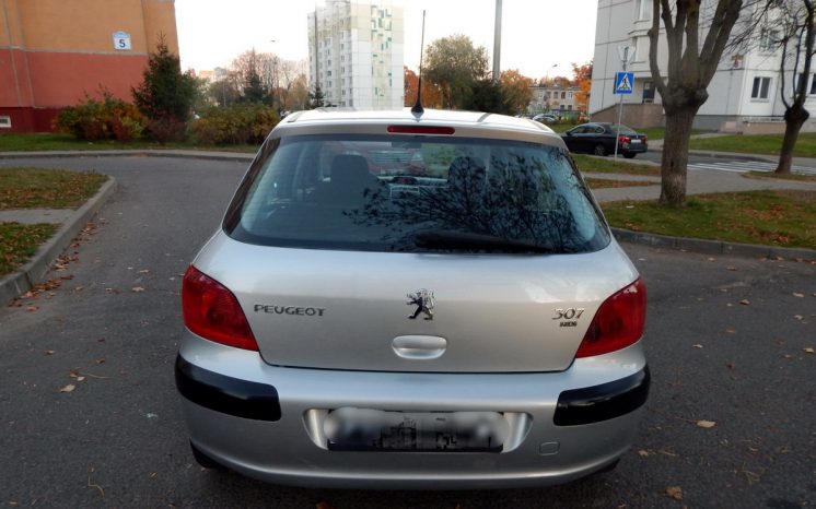 Peugeot 307 2004 полный