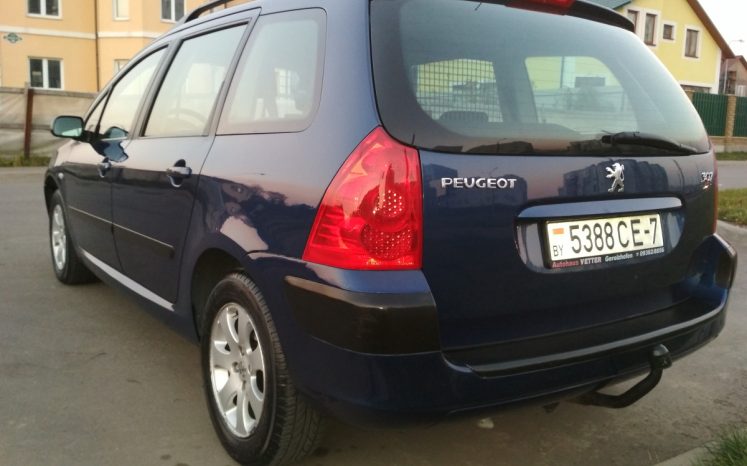 Peugeot 307 2003 полный