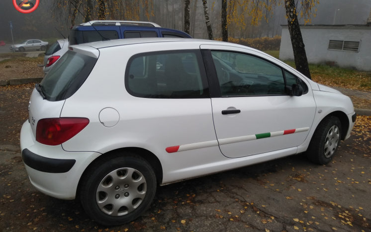 Peugeot 307 2002 полный