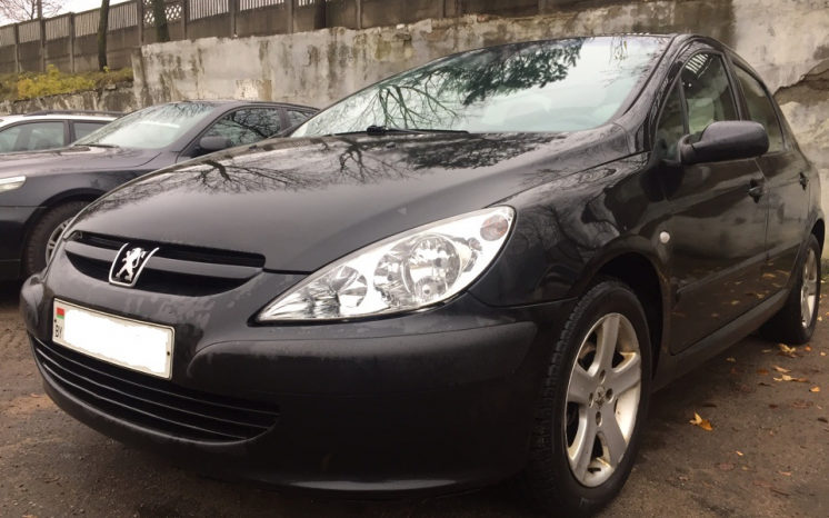 Peugeot 307 2002 полный