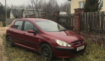 Peugeot 307 2001 полный