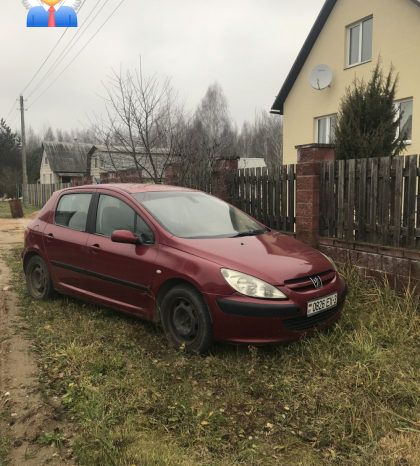 Peugeot 307 2001 полный