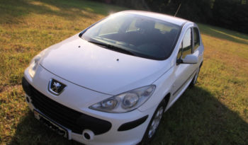 Peugeot 307 2006 полный