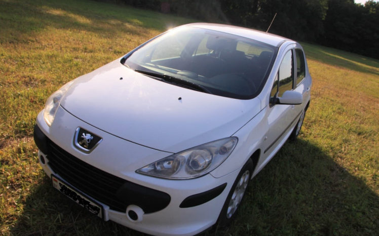 Peugeot 307 2006 полный