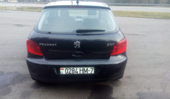 Peugeot 307 2006 полный