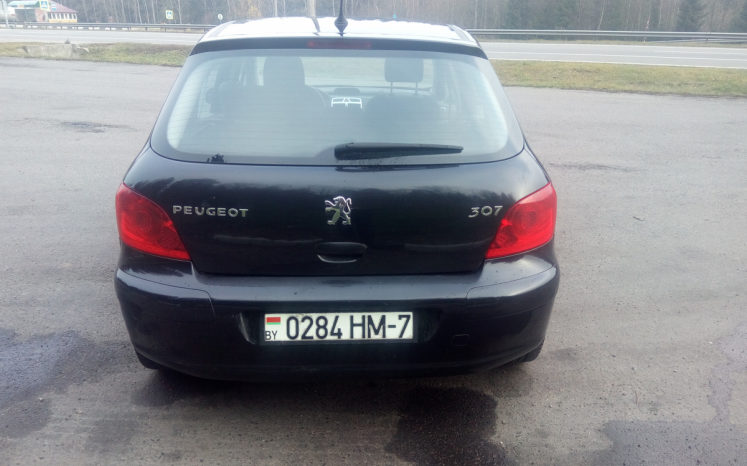 Peugeot 307 2006 полный