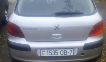 Peugeot 307 2006 полный