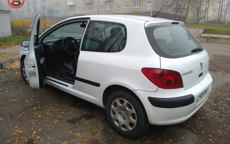 Peugeot 307 2002 полный