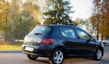 Peugeot 307 2003 полный