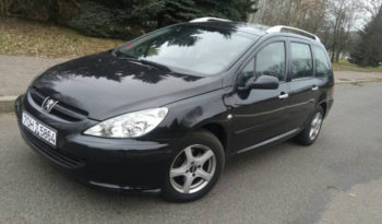 Peugeot 307 2004 полный