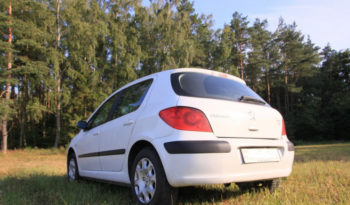 Peugeot 307 2006 полный