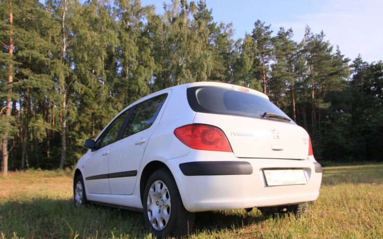 Peugeot 307 2006 полный