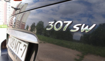 Peugeot 307 2002 полный