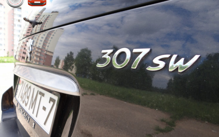 Peugeot 307 2002 полный