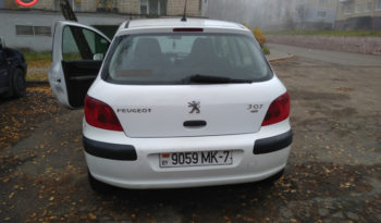 Peugeot 307 2002 полный