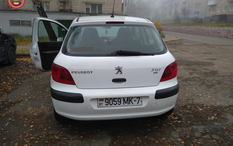 Peugeot 307 2002 полный