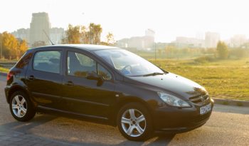 Peugeot 307 2003 полный