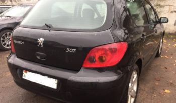 Peugeot 307 2002 полный