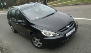 Peugeot 307 2004 полный