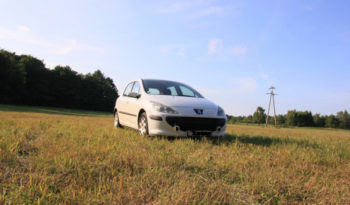 Peugeot 307 2006 полный