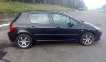 Peugeot 307 2006 полный