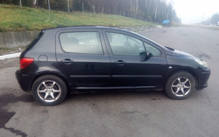 Peugeot 307 2006 полный