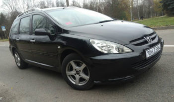 Peugeot 307 2004 полный