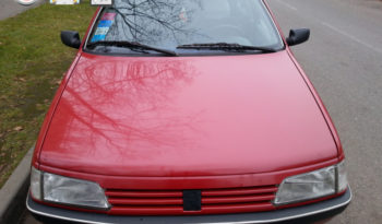 Peugeot 405 1995 полный