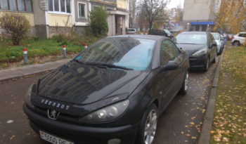 Peugeot 206 2002 полный