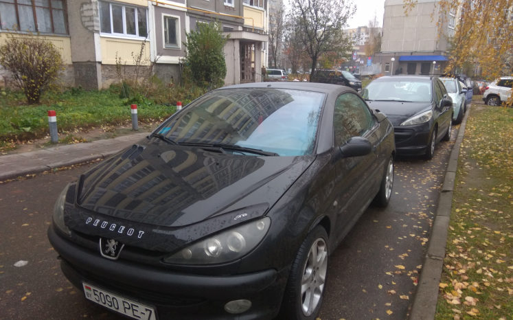 Peugeot 206 2002 полный