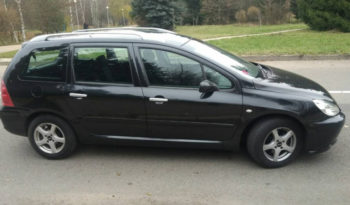 Peugeot 307 2004 полный