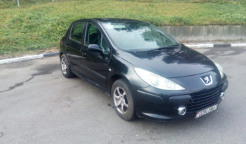 Peugeot 307 2006 полный