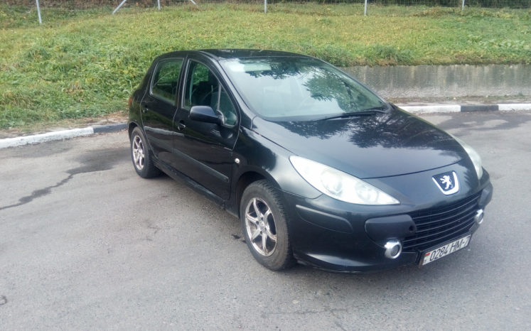 Peugeot 307 2006 полный