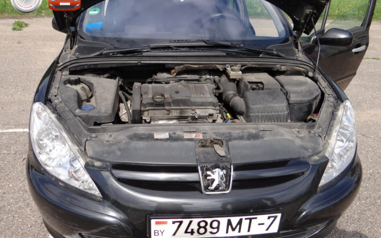 Peugeot 307 2002 полный