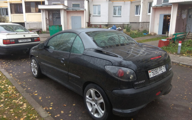 Peugeot 206 2002 полный