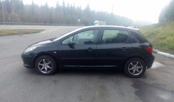 Peugeot 307 2006 полный