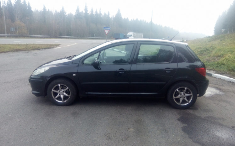 Peugeot 307 2006 полный