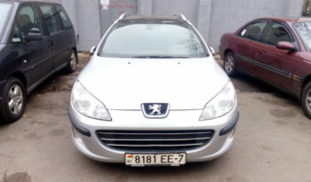 Peugeot 407 2004 полный