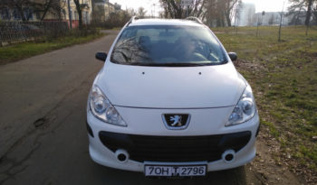 Peugeot 307 2006 полный