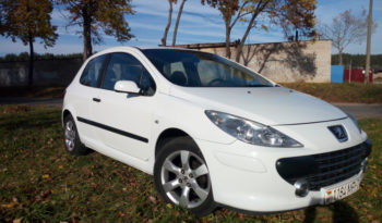 Peugeot 307 2004 полный