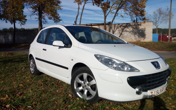 Peugeot 307 2004 полный