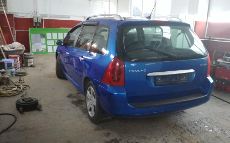 Peugeot 307 2002 полный