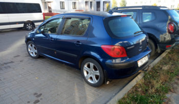 Peugeot 307 2001 полный