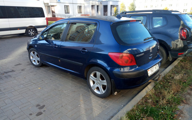 Peugeot 307 2001 полный