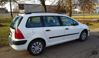 Peugeot 307 2006 полный