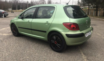 Peugeot 307 2004 полный