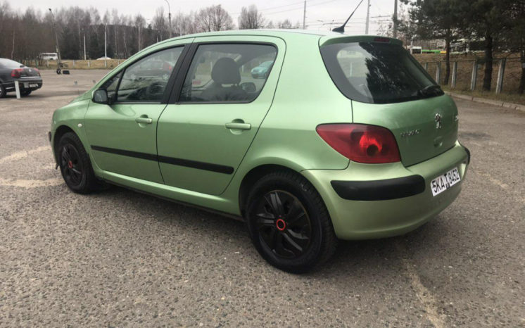 Peugeot 307 2004 полный