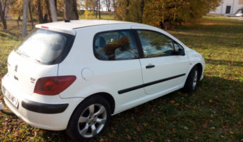 Peugeot 307 2004 полный