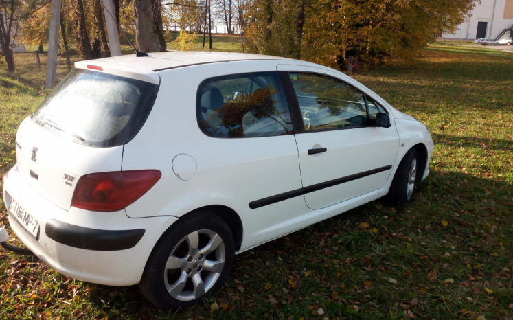 Peugeot 307 2004 полный